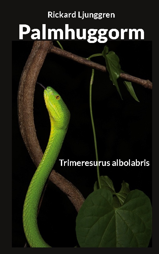 Omslag: Palmhuggorm : Trimeresurus albolabris