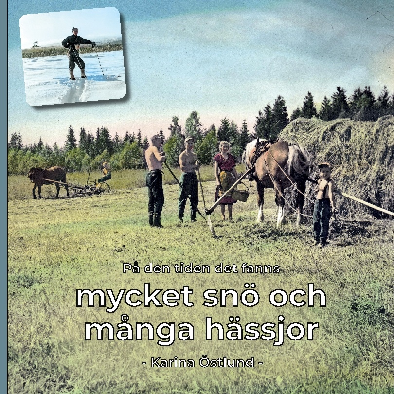 Omslag: På den tiden det fanns mycket snö och många hässjor