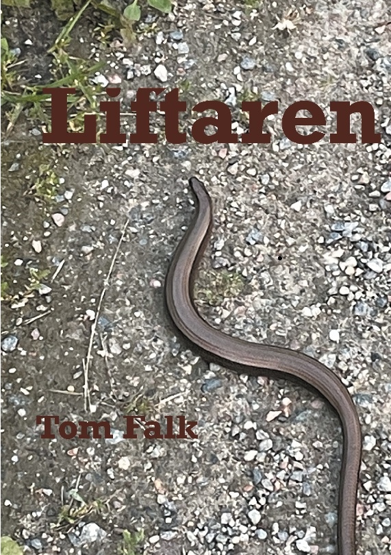 Omslag: Liftaren