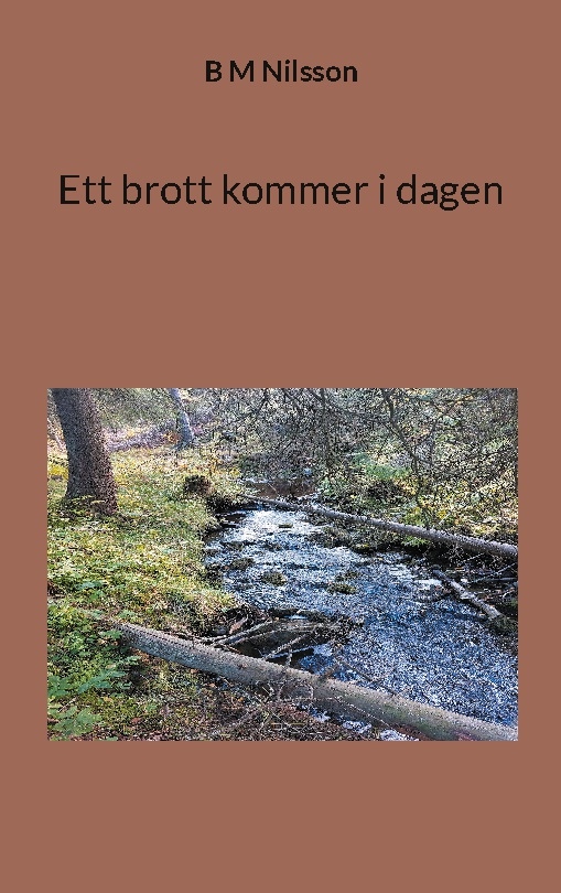 Omslag: Ett brott kommer i dagen