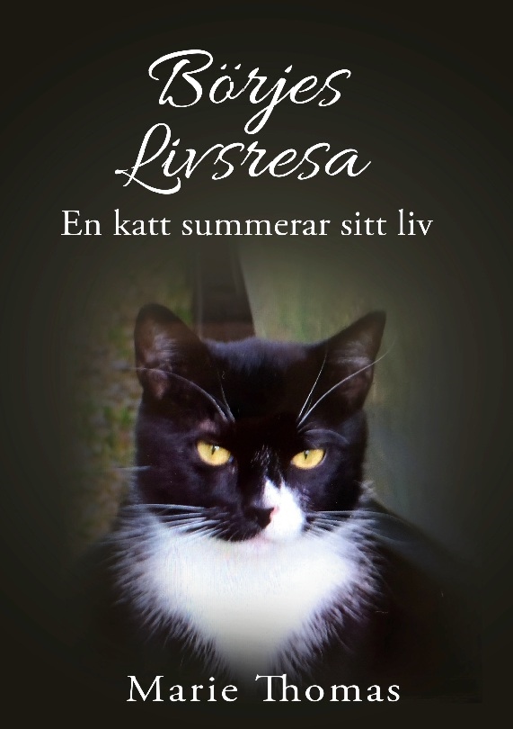 Omslag: Börjes livsresa : en katt summerar sitt liv
