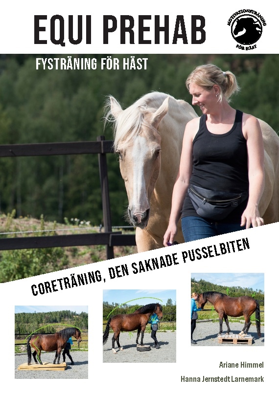 Omslag: Equi Prehab : Fysträning för häst