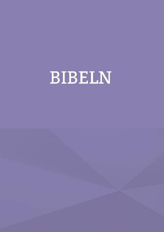 Omslag: King James bibeln på svenska : Bibeln