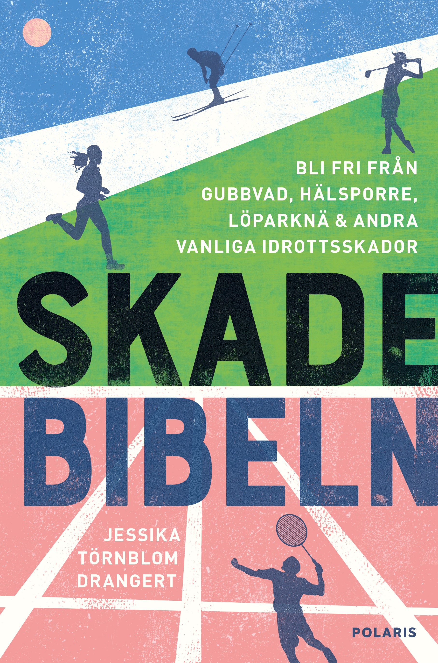 Omslag: Skadebibeln