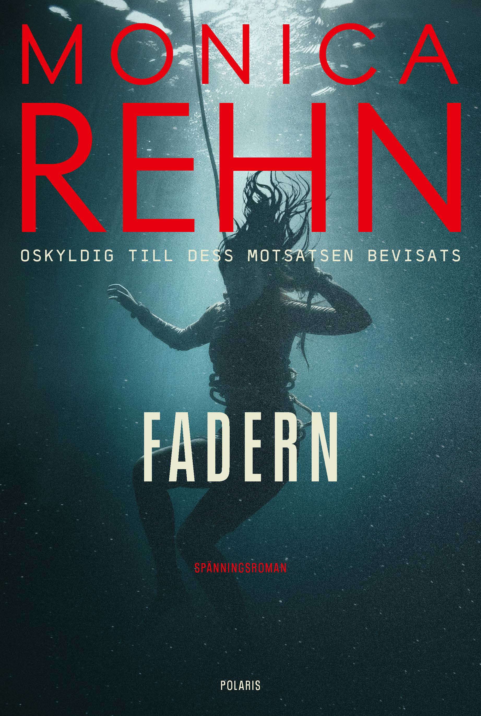 Omslag: Fadern