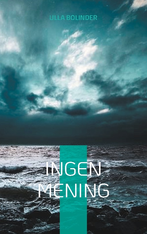 Omslag: Ingen mening