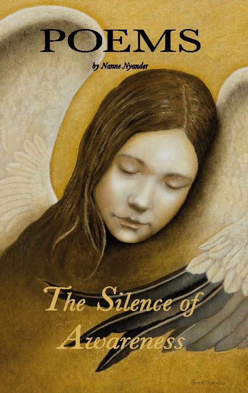 Omslag: The silence of awareness