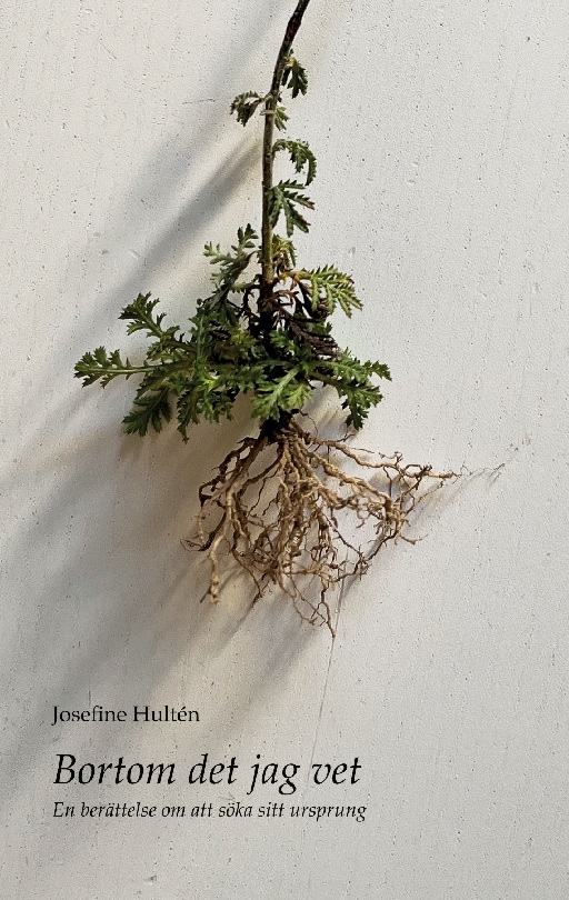 Omslag: Bortom det jag vet : en berättelse om att söka sitt ursprung