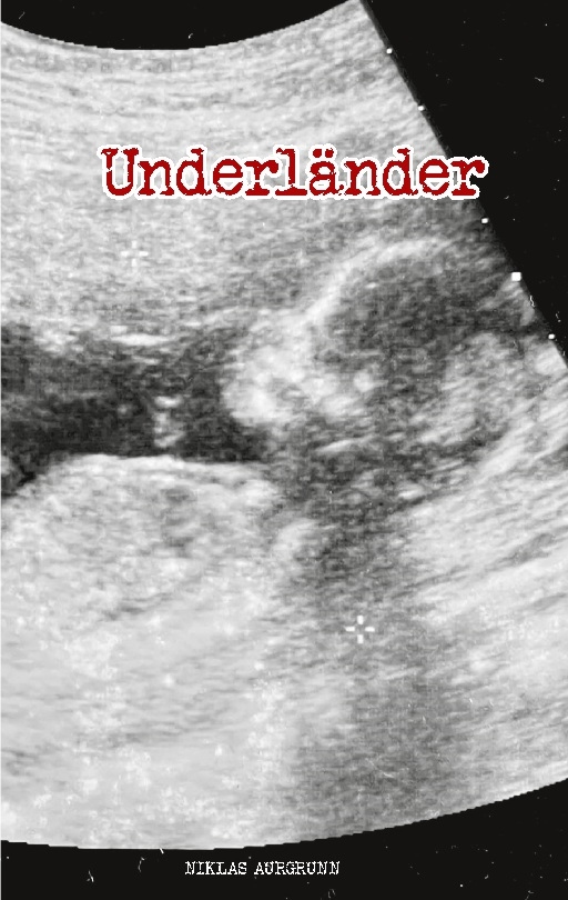 Omslag: Underländer