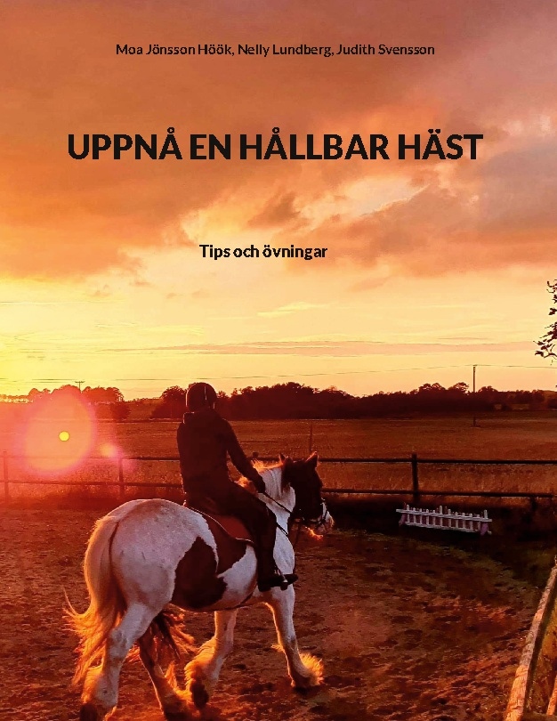 Omslag: Uppnå en hållbar häst : tips och övningar