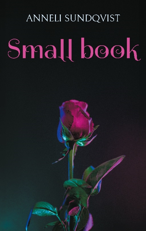 Omslag: Small book : little pieces