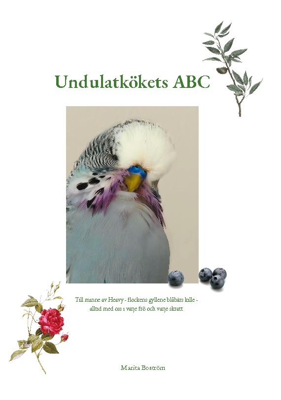 Omslag: Undulatkökets ABC