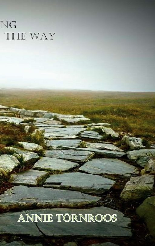 Omslag: Growing along the way