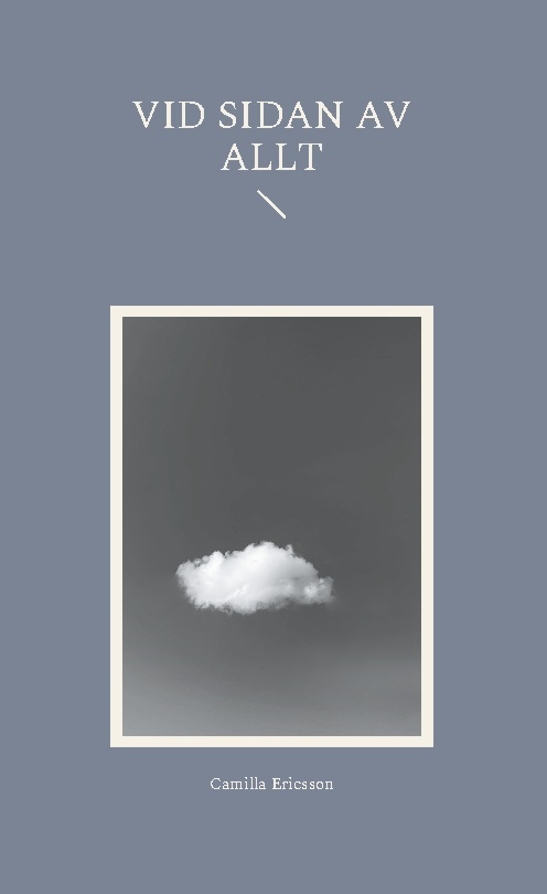 Omslag: Vid sidan av allt