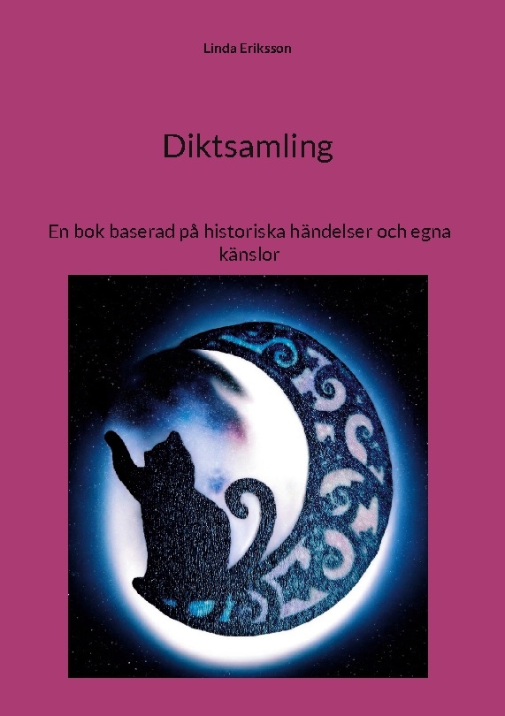 Omslag: Diktsamling : en bok baserad på historiska händelser och egna känslor