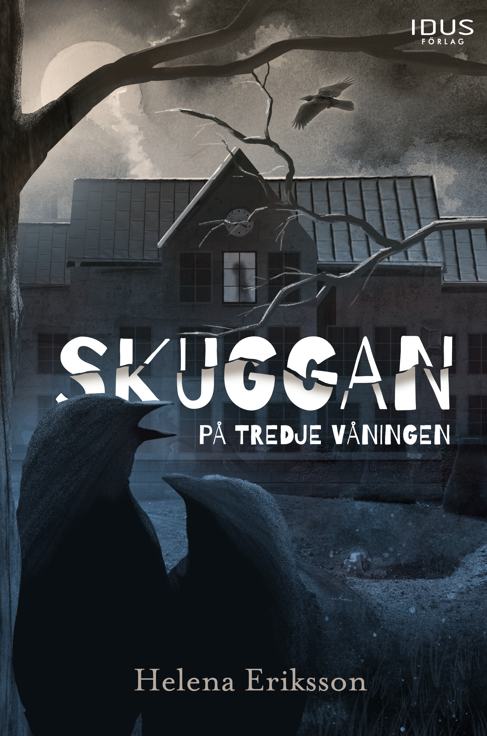 Omslag: Skuggan på tredje våningen