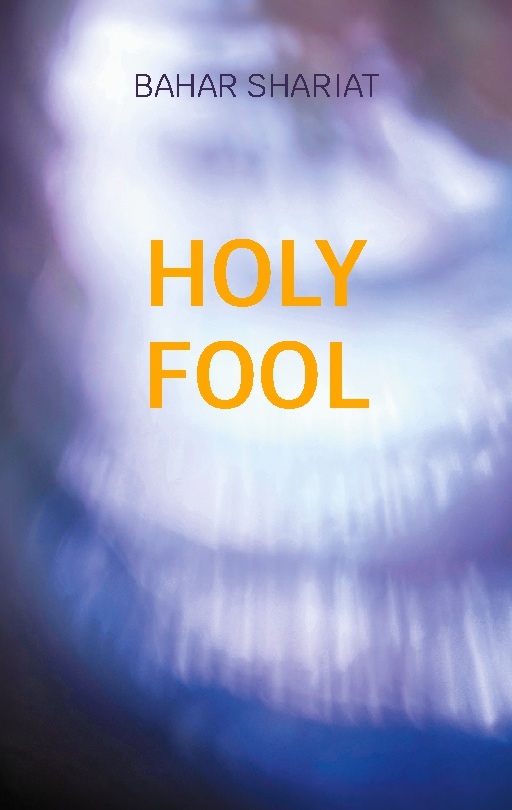 Omslag: Holy Fool