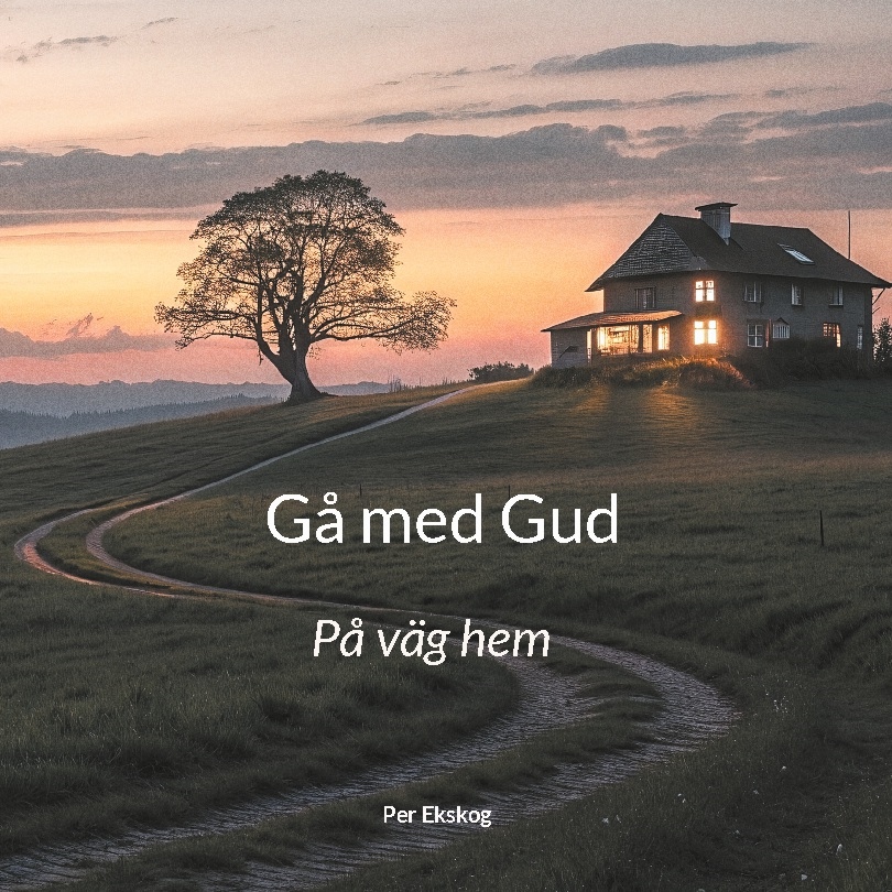 Omslag: Gå med Gud : på väg hem