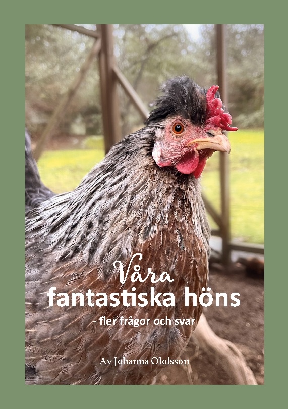 Omslag: Våra fantastiska höns - fler frågor och svar