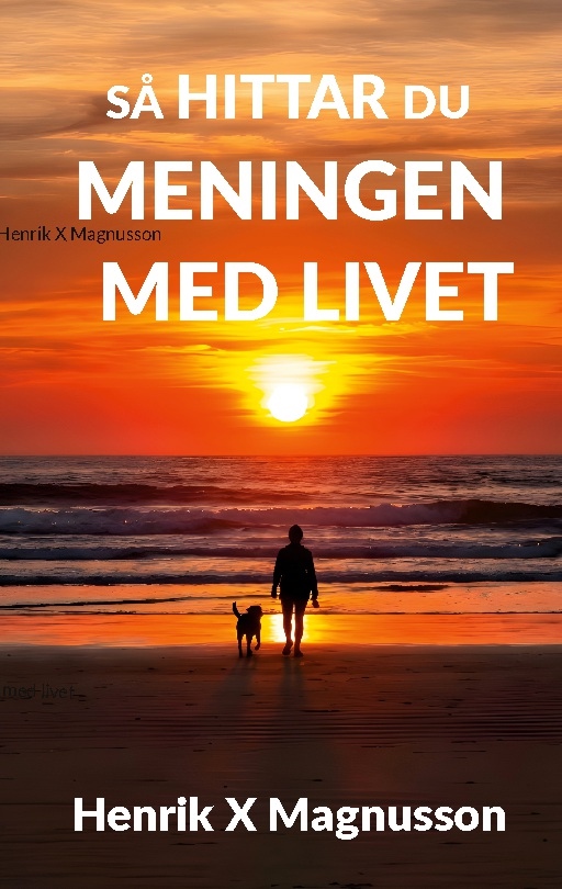 Omslag: Så hittar du meningen med livet : din guide i tillvaron