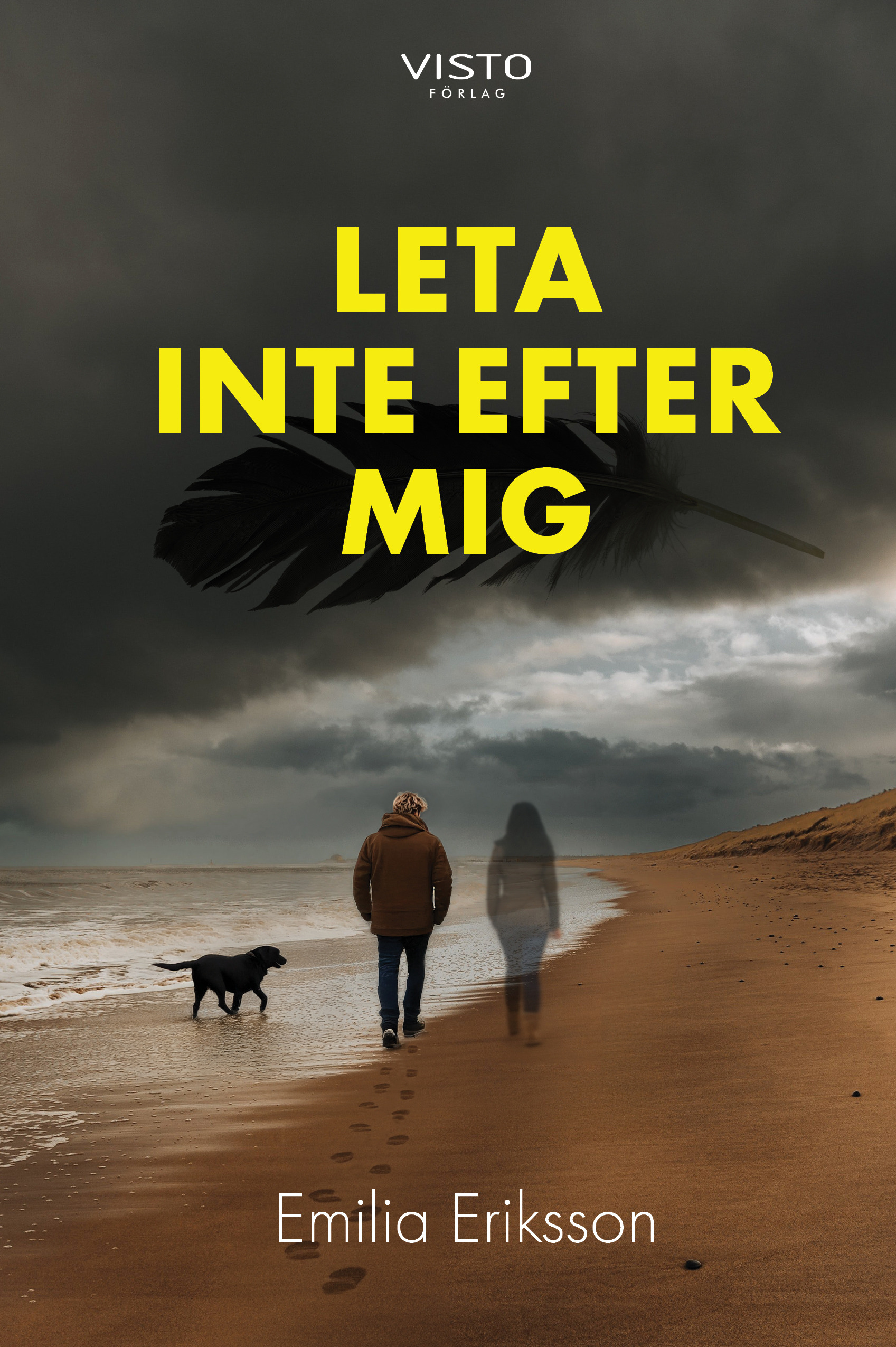 Omslag: Leta inte efter mig