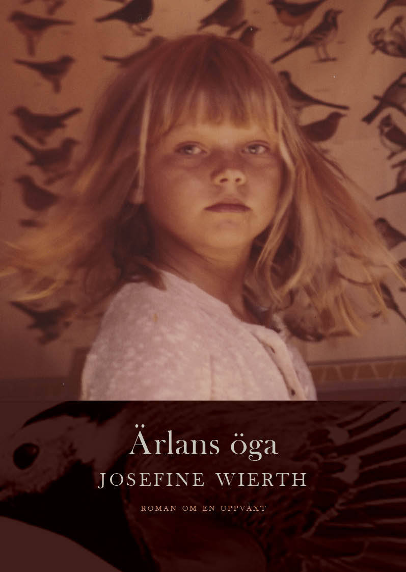 Omslag: Ärlans öga : roman om en uppväxt