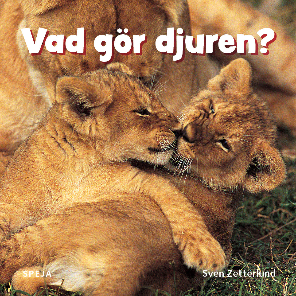 Omslag: Vad gör djuren?