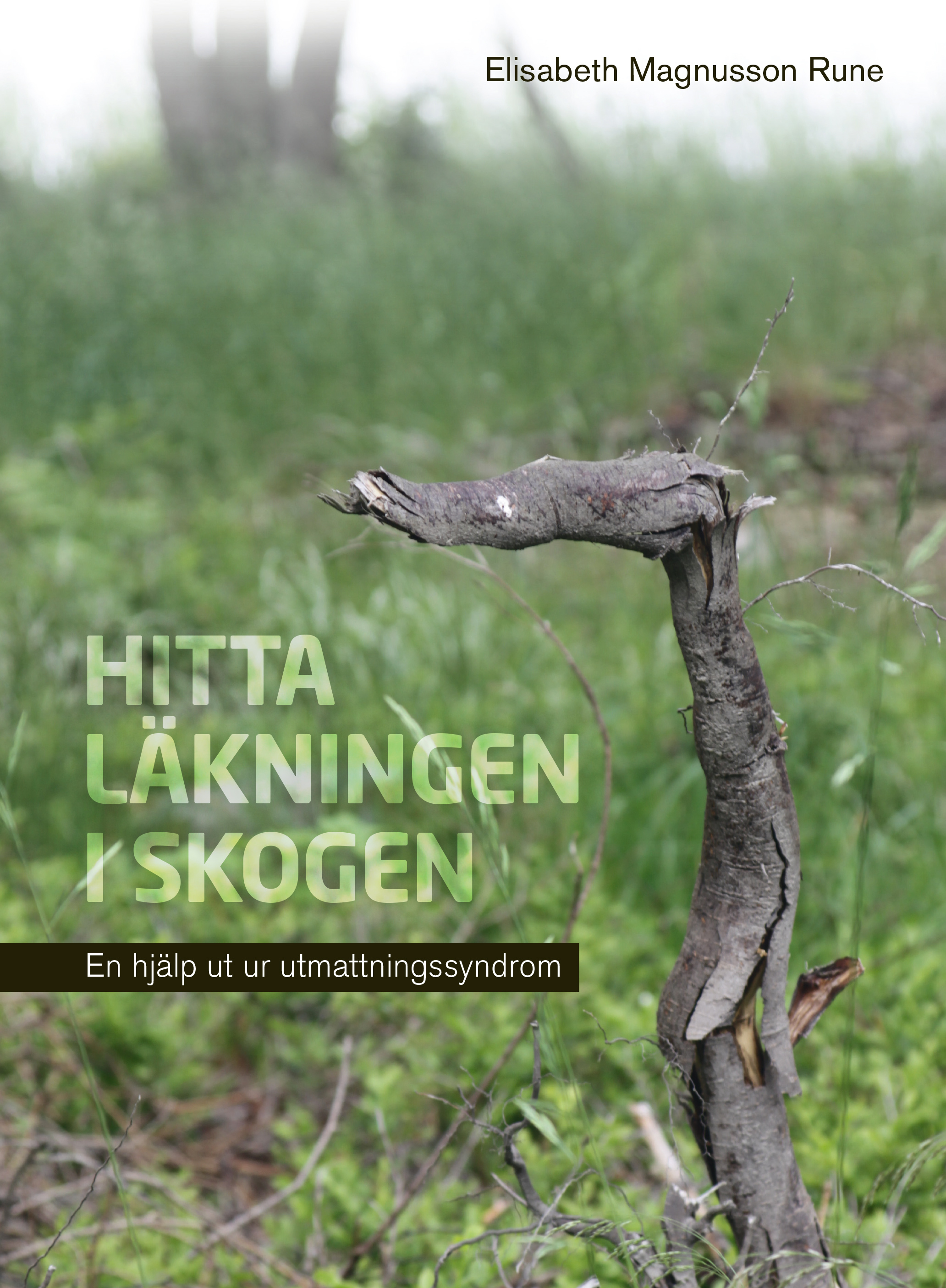 Omslag: Hitta läkningen i skogen : en hjälp ut ur utmattningssyndrom