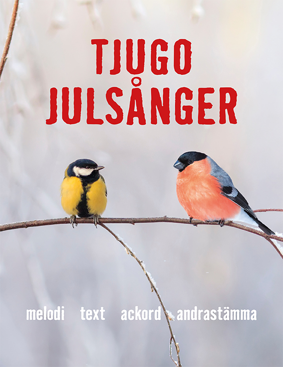 Omslag: Tjugo Julsånger tvåstämmiga