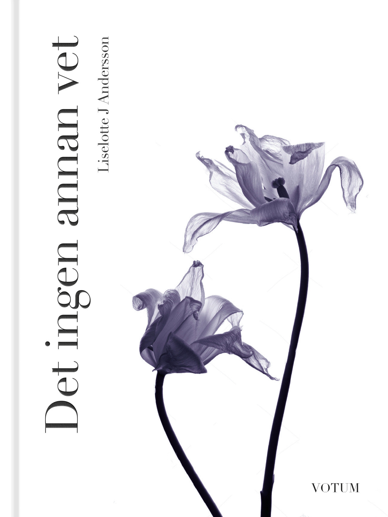 Omslag: Det ingen annan vet