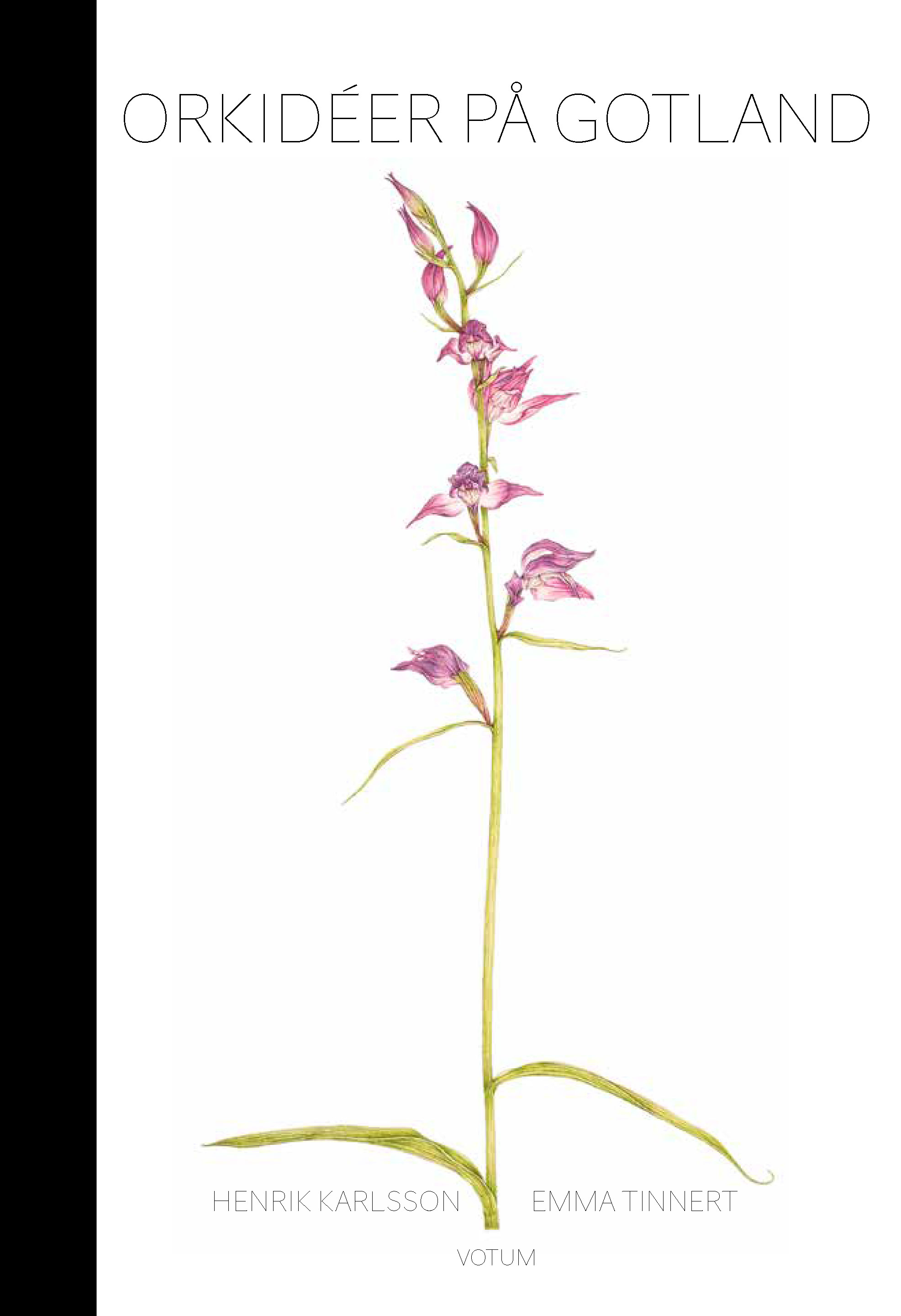 Omslag: Orkidéer på Gotland