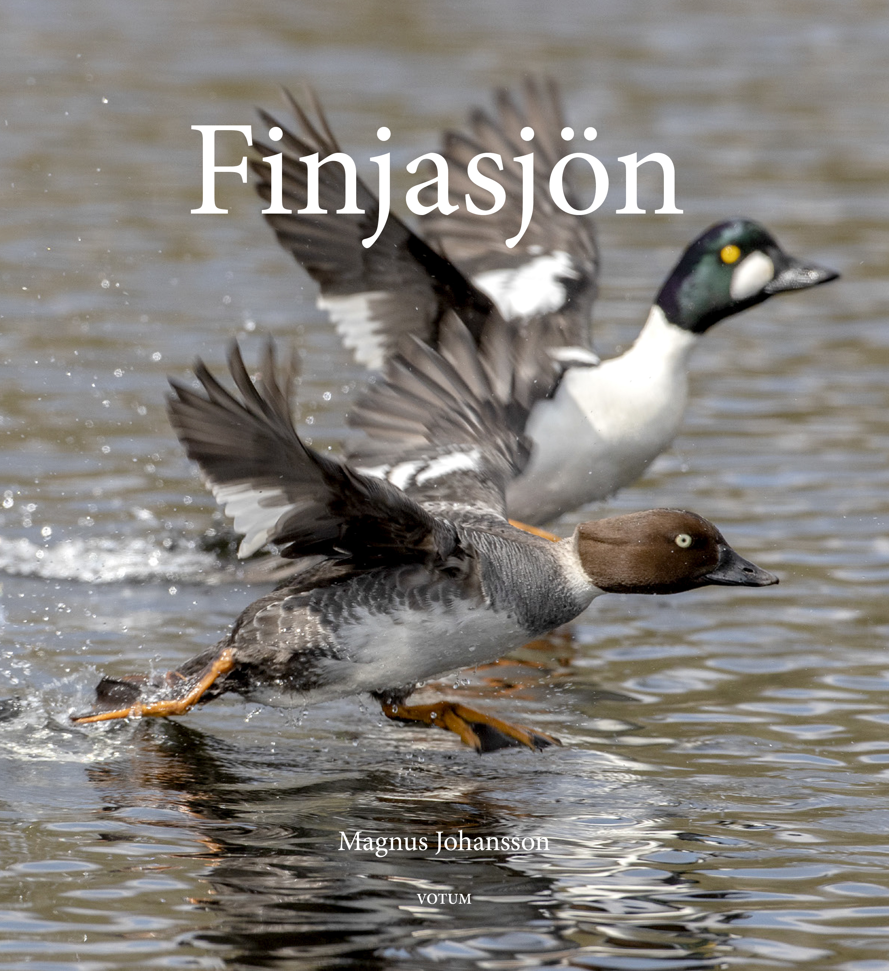 Omslag: Finjasjön