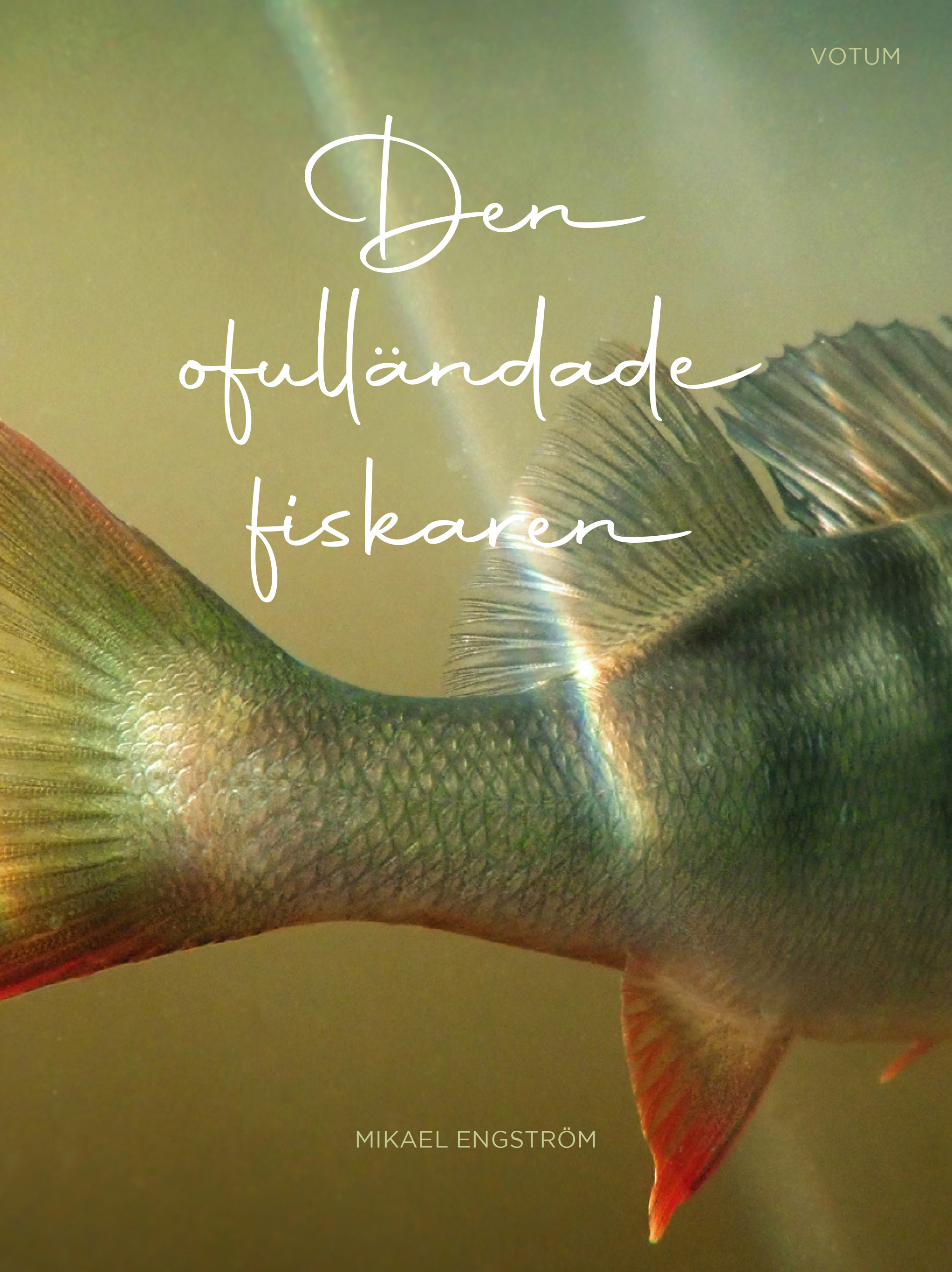 Omslag: Den ofulländade fiskaren