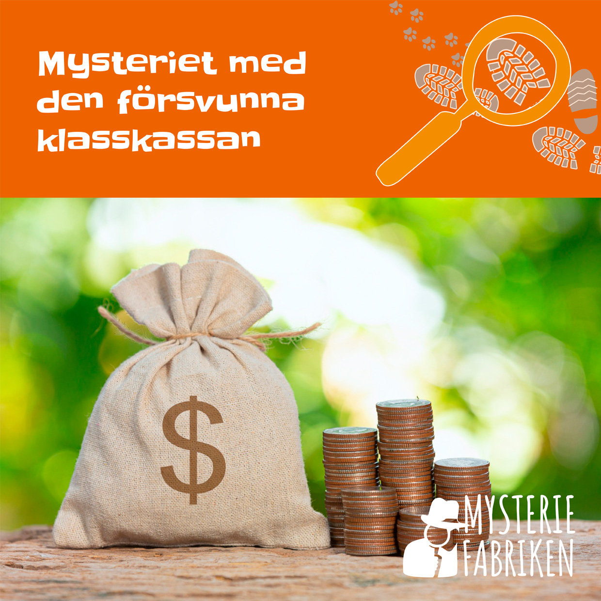 Omslag: Mysteriet med den försvunna klasskassan