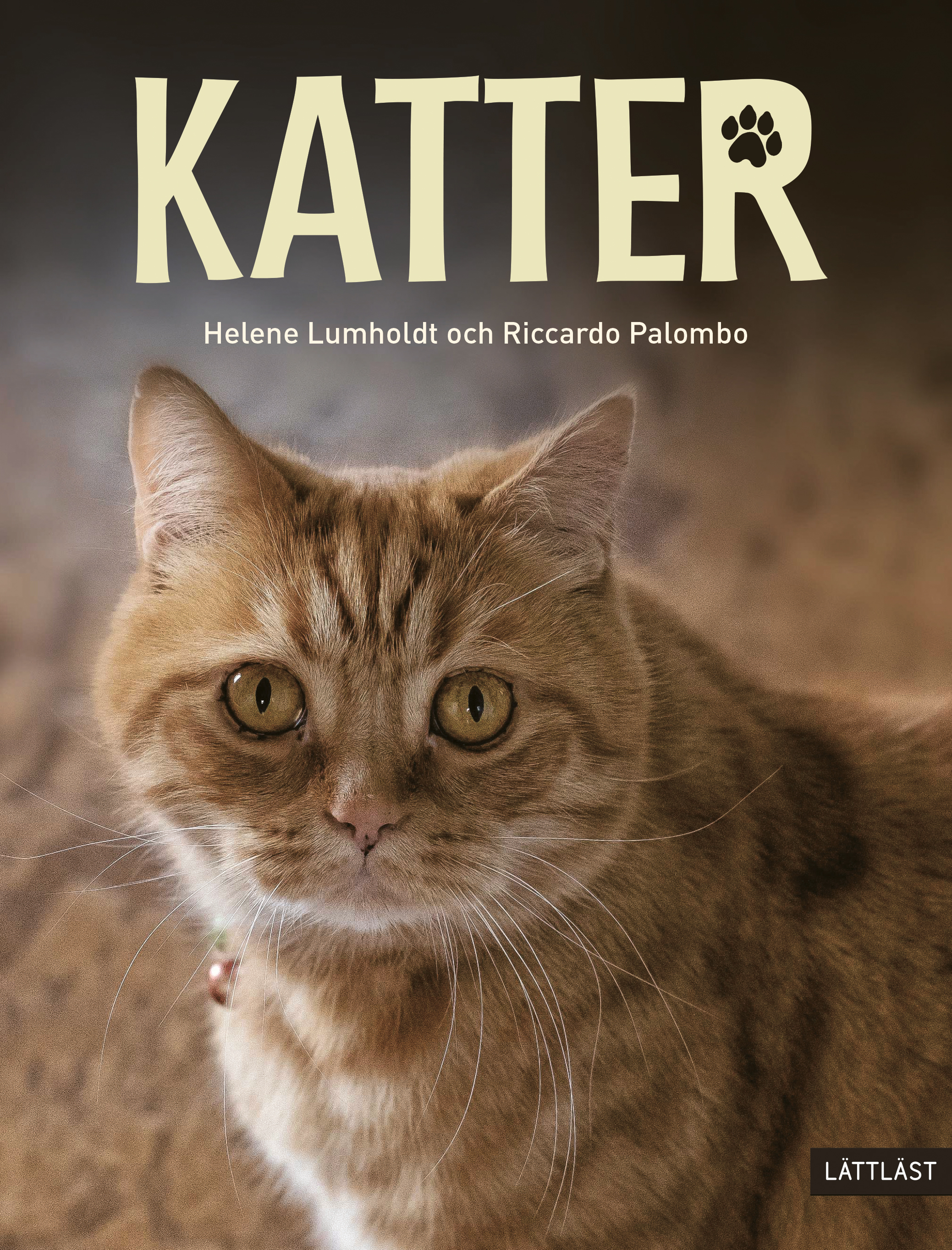 Omslag: Katter