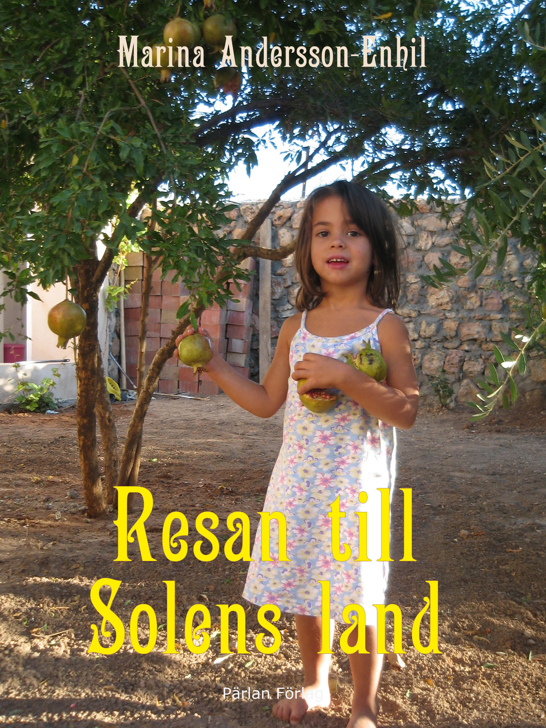 Omslag: Resan till Solens land