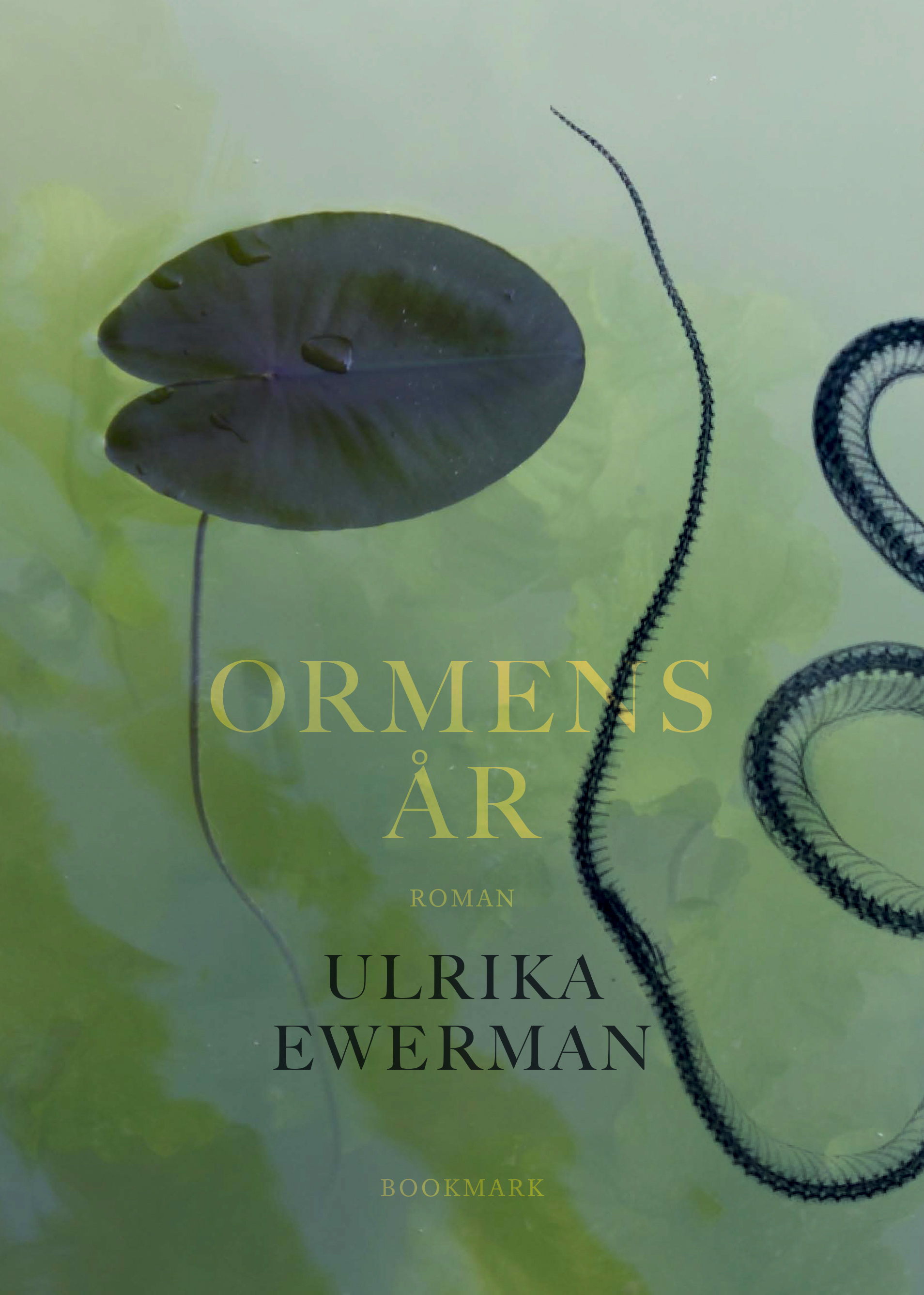 Omslag: Ormens år