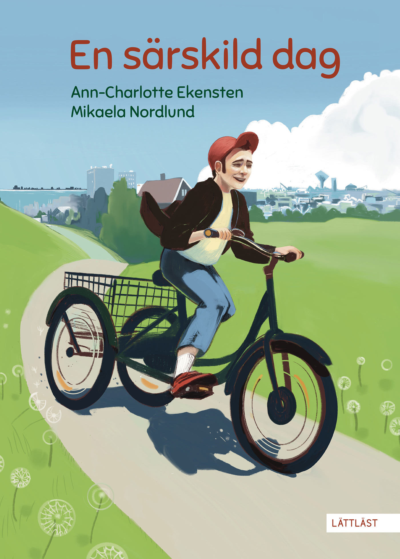 Omslag: En särskild dag