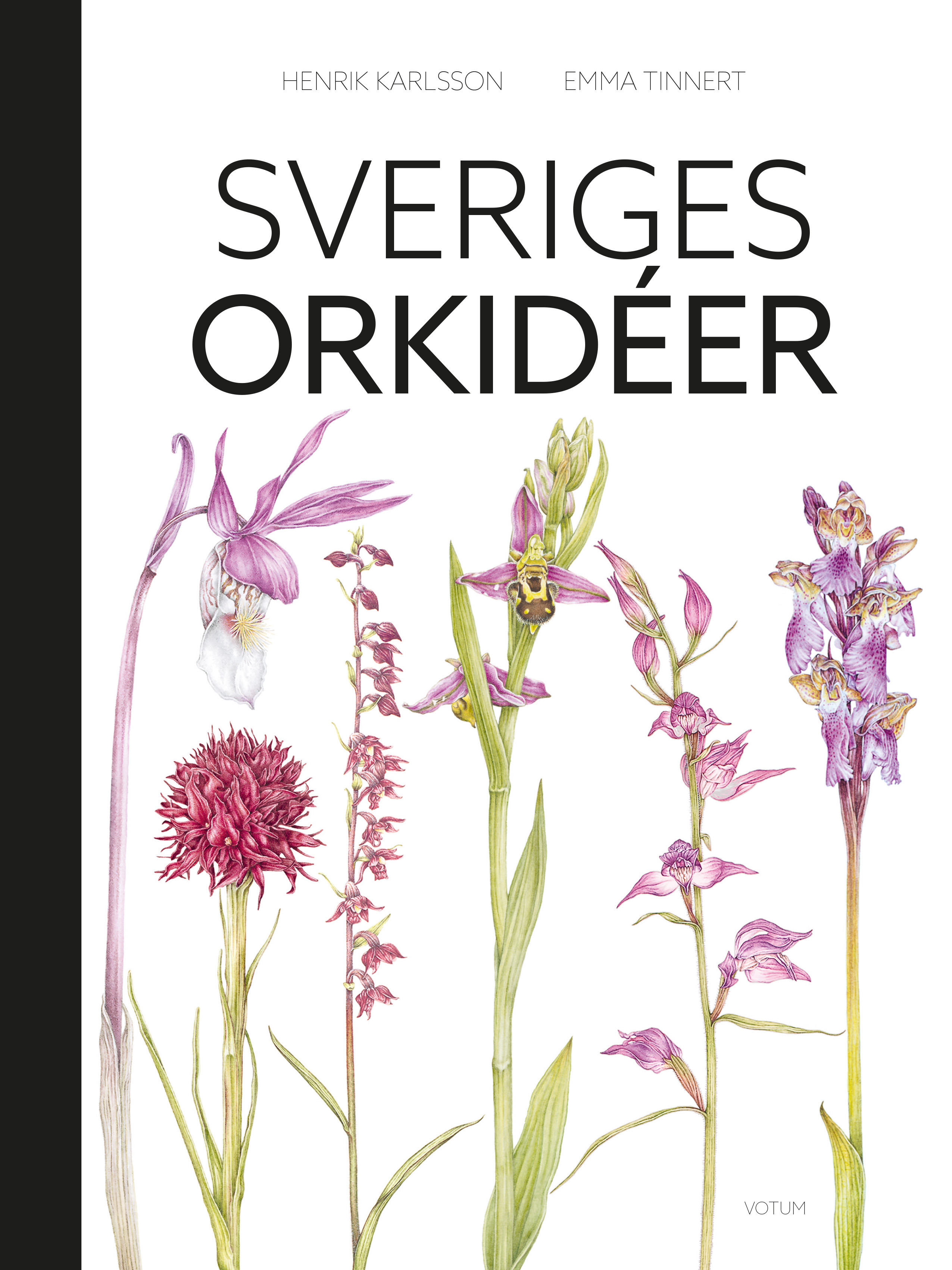 Omslag: Sveriges orkidéer