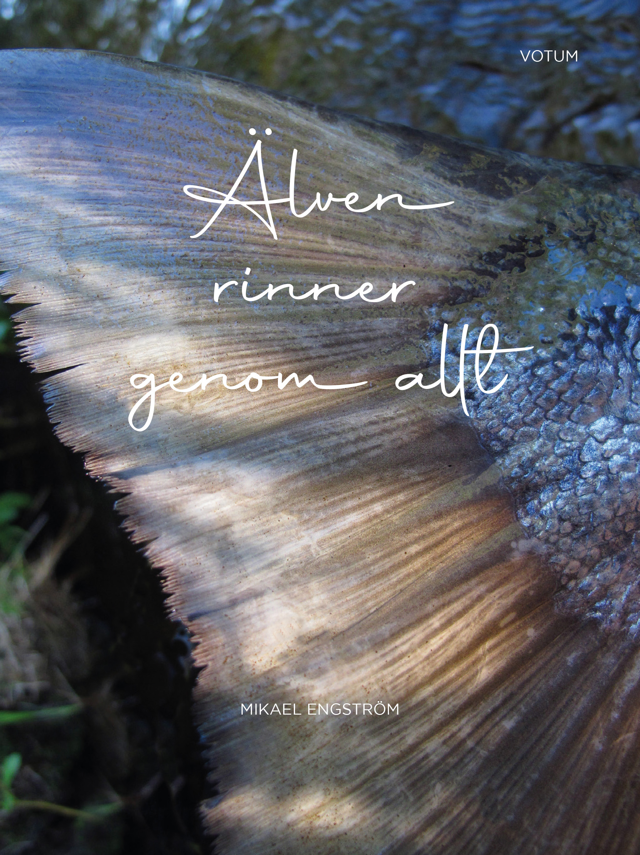 Omslag: Älven rinner genom allt