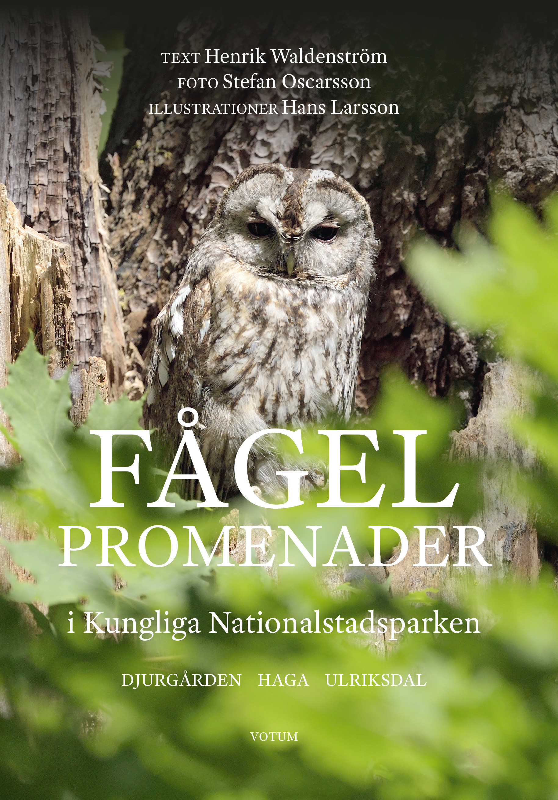 Omslag: Fågelpromenader i Kungliga Nationalstadsparken