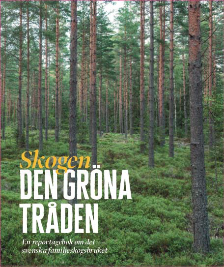 Omslag: Skogen : den gröna tråden - en reportagebok om det svenska familjeskogsbruket