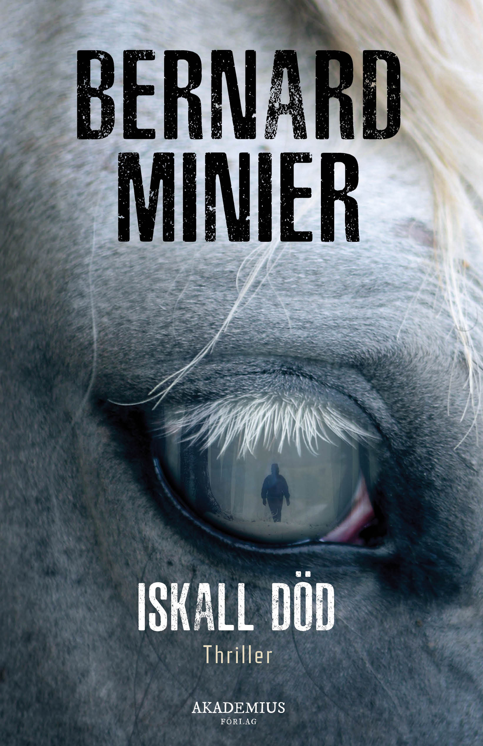 Omslag: Iskall död